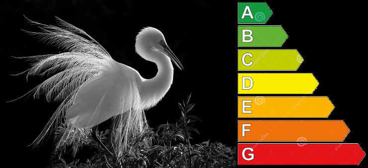 Elegance and efficiency