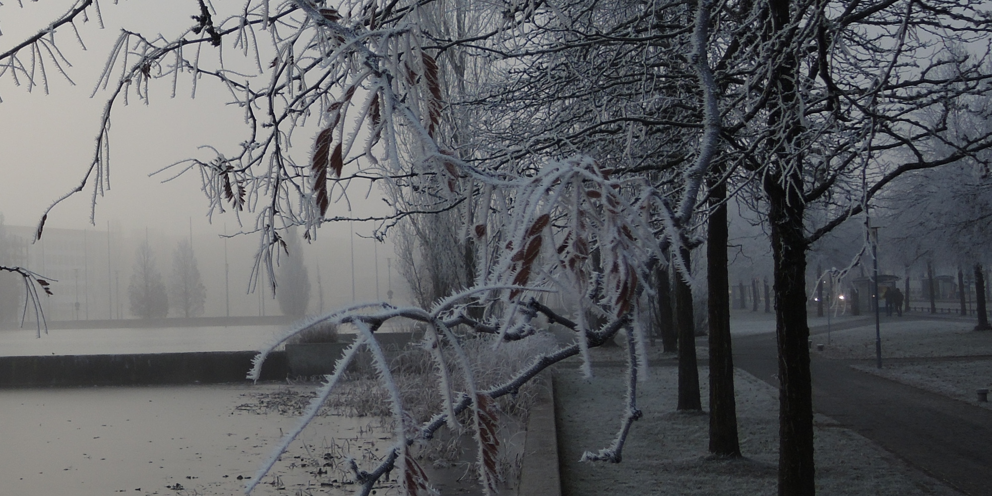 Early morning on the way to the Munich Forge accelerator