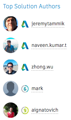Top solution authors