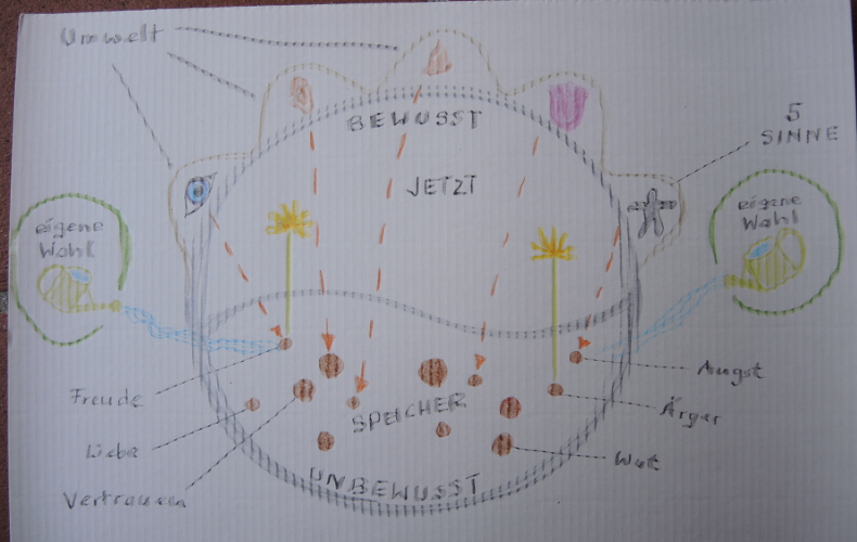 Mindful watering of seeds stored in the unconscious