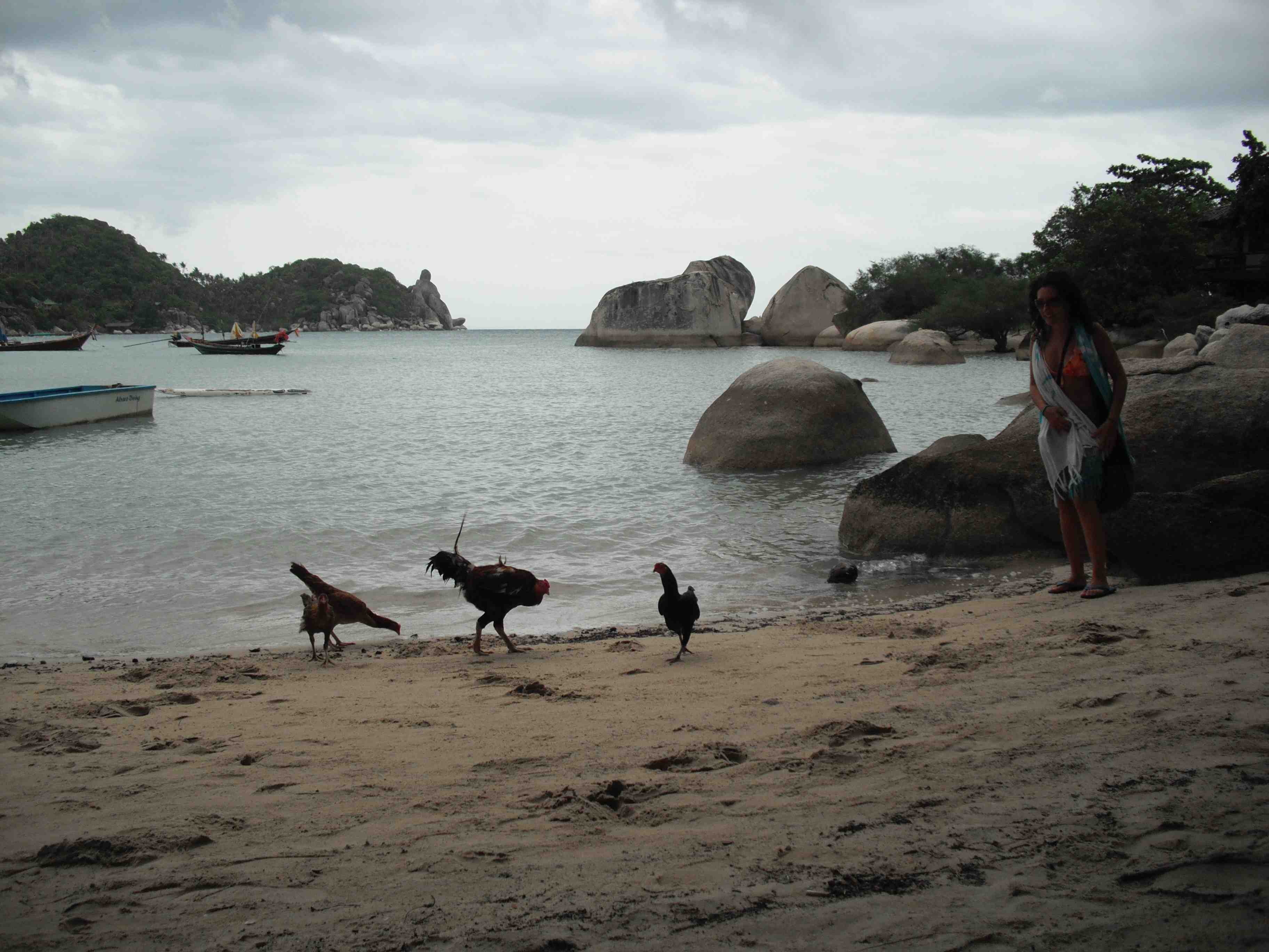 Daniela with chickens and the Buddha Rock