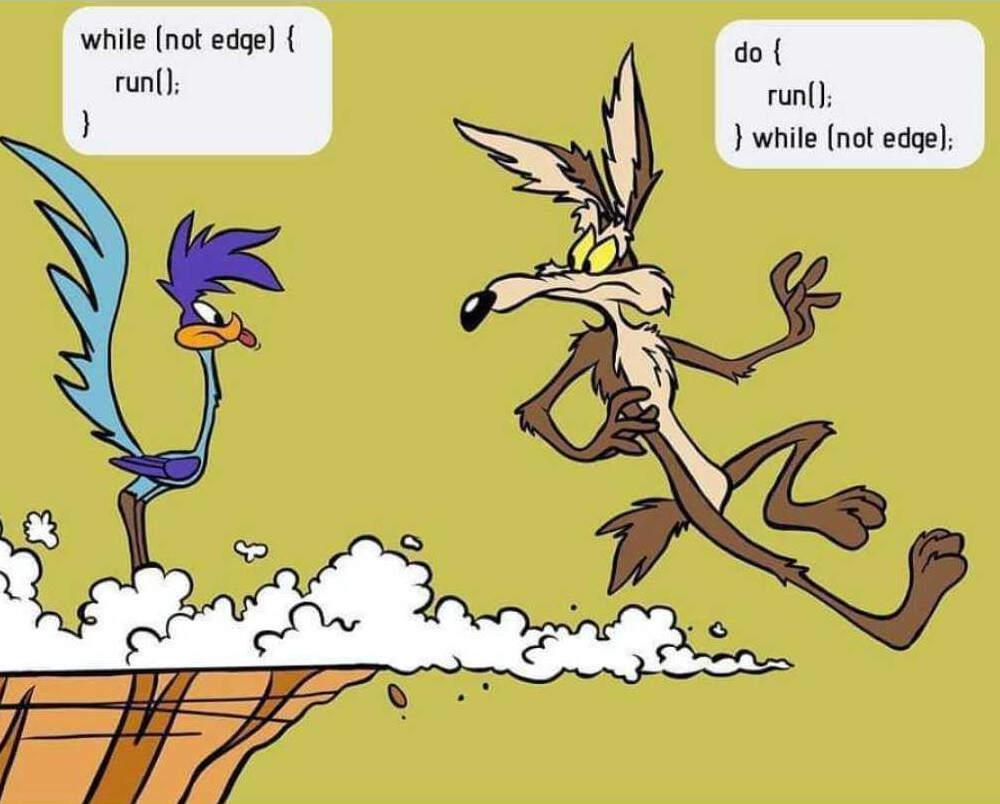 While versus do-while