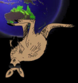 Cool Australian Revit users