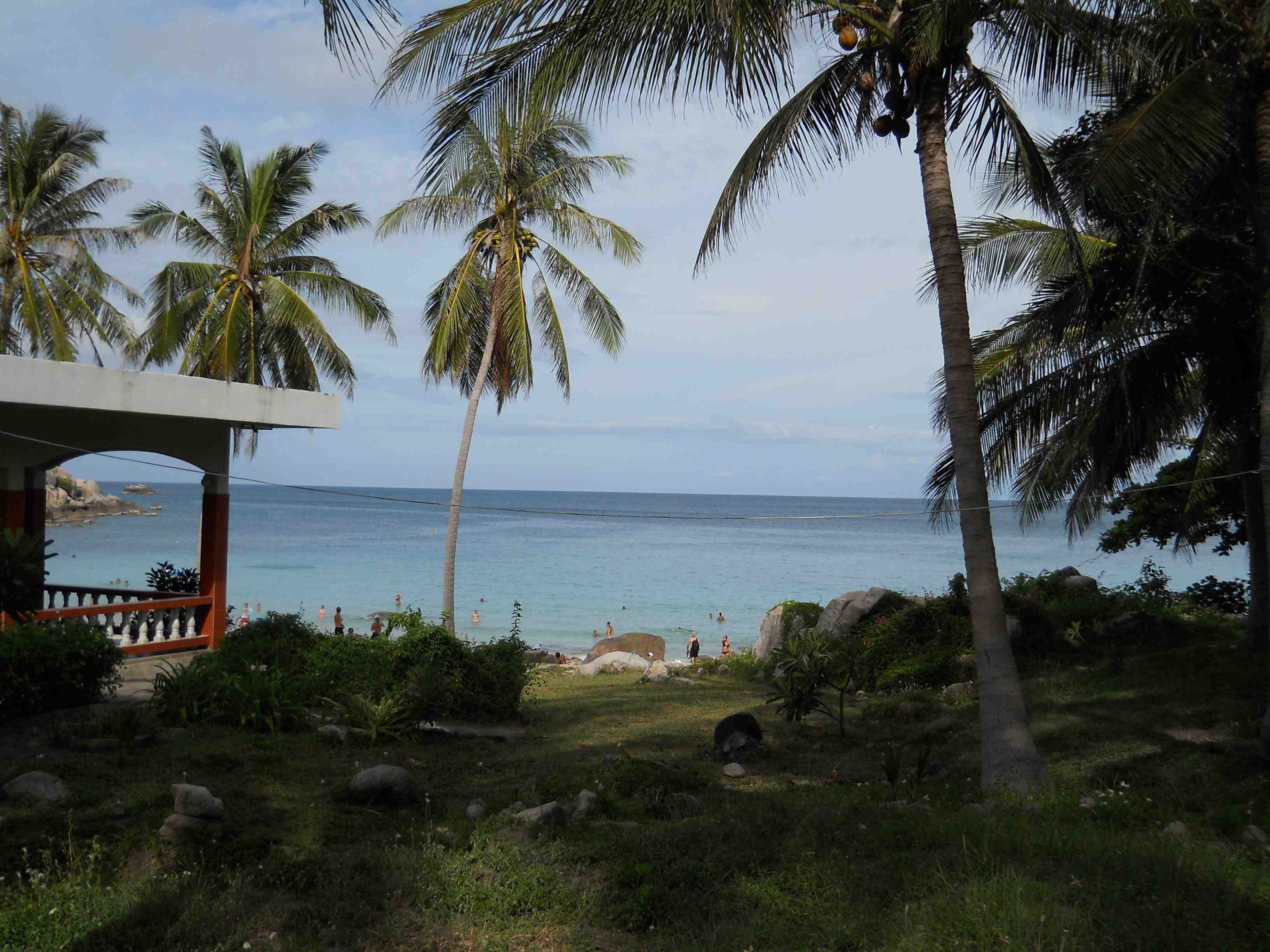 Palm trees in Aow Leuk Bay