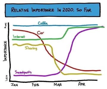 Pandemic influence on relative importance