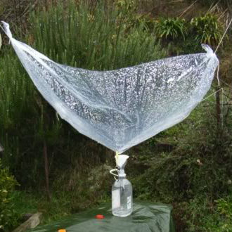 Rain water collector