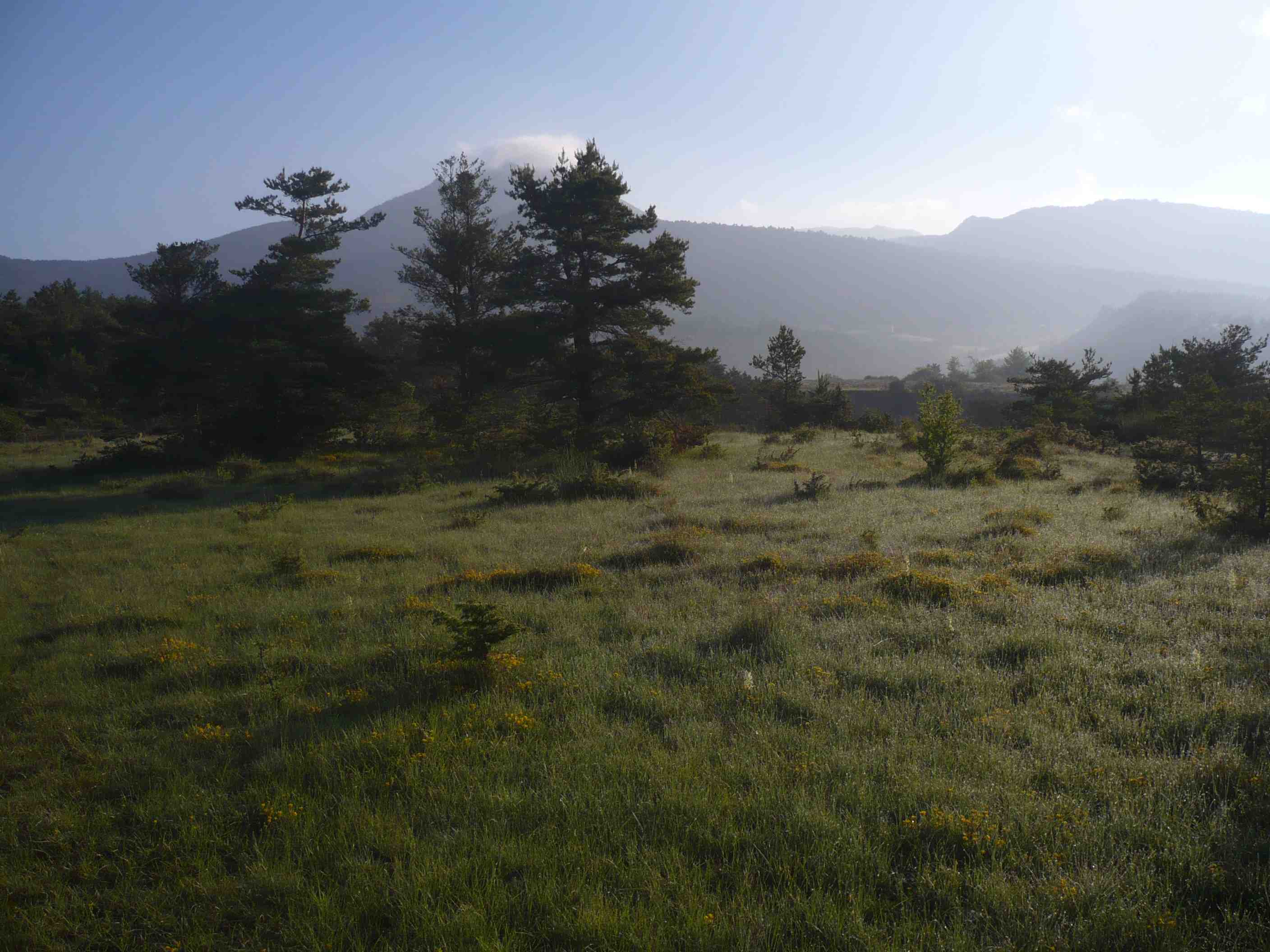 Our camp site in the morning dew