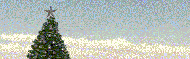 Kevin's Christmas tree